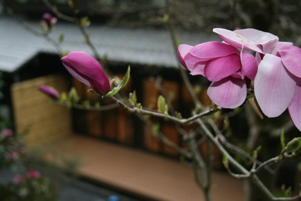 Yumoto Onsen Oharasansou Hotel Kyoto Exterior photo